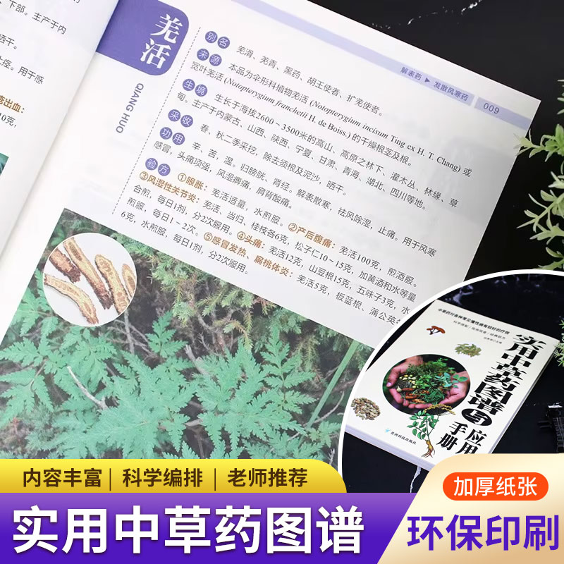 Wellness Herbal Medicine - Practical Herbal Atlas & Manual: Complete