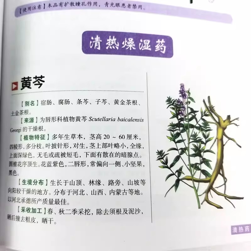 The Ancient Herbarium Holistic - đánh giá và giá Wellness Herbal Medicine